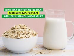 Betulkah Susu Gandum Oat Milk Lebih Sehat dari Susu Sapi? Ini Penjelasannya